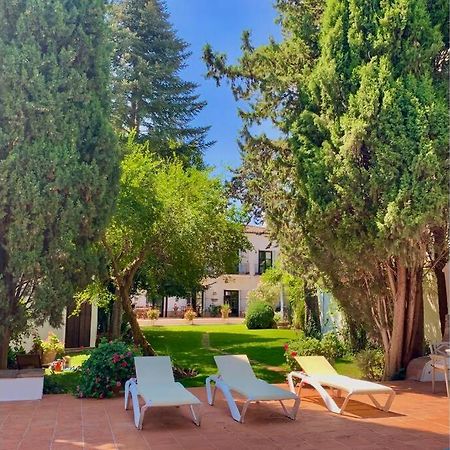 Un Autentico Oasis Rodeado De Historia Ronda Exteriér fotografie
